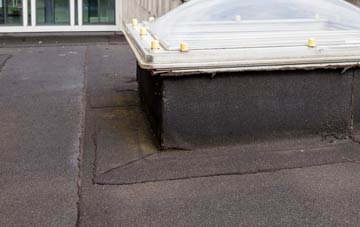disadvantages of Victory Gardens flat roofs