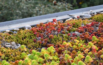 the cost of Victory Gardens green roof installation