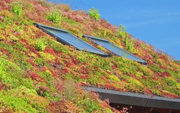 Victory Gardens living roof systems