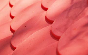 Victory Gardens plastic roof costs