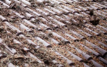 Victory Gardens roof cleaning companies