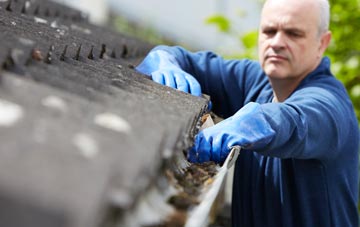 cleaning and inspecting Victory Gardens roofs